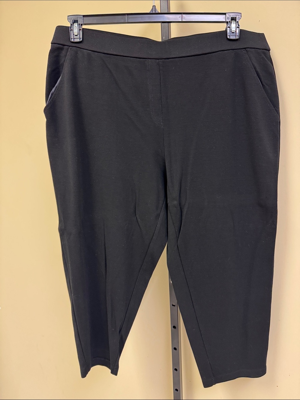 Eileen Fisher Black Cropped Pull-On Pants